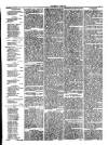 Herald Cymraeg Friday 06 July 1877 Page 7