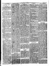 Herald Cymraeg Friday 24 August 1877 Page 8