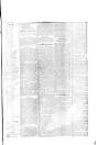 Herald Cymraeg Friday 11 January 1878 Page 7