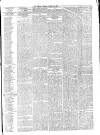 Herald Cymraeg Friday 08 March 1878 Page 7