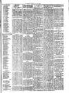 Herald Cymraeg Wednesday 15 May 1878 Page 7
