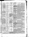 Herald Cymraeg Wednesday 01 January 1879 Page 3