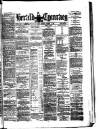 Herald Cymraeg Wednesday 09 June 1880 Page 1