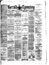 Herald Cymraeg Thursday 02 December 1880 Page 1