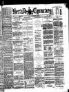 Herald Cymraeg Thursday 03 March 1881 Page 1