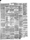 Herald Cymraeg Thursday 29 March 1883 Page 5