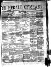 Herald Cymraeg Tuesday 04 January 1887 Page 1