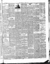 Herald Cymraeg Tuesday 06 March 1888 Page 7