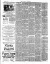 Herald Cymraeg Tuesday 04 February 1890 Page 3