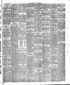 Herald Cymraeg Tuesday 17 January 1893 Page 3