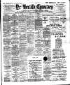 Herald Cymraeg Tuesday 21 March 1893 Page 1