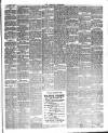 Herald Cymraeg Tuesday 28 March 1893 Page 3