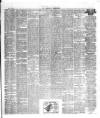 Herald Cymraeg Tuesday 29 August 1893 Page 3