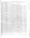 Herald Cymraeg Tuesday 16 January 1894 Page 5