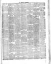 Herald Cymraeg Tuesday 16 January 1894 Page 7