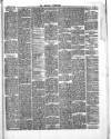 Herald Cymraeg Tuesday 10 April 1894 Page 5