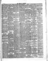 Herald Cymraeg Tuesday 01 May 1894 Page 4