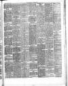 Herald Cymraeg Tuesday 04 September 1894 Page 5