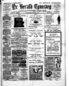 Herald Cymraeg Tuesday 20 November 1894 Page 1