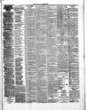 Herald Cymraeg Tuesday 20 November 1894 Page 3