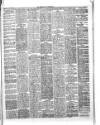Herald Cymraeg Tuesday 04 December 1894 Page 5