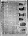 Herald Cymraeg Tuesday 01 January 1895 Page 3