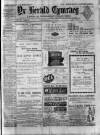 Herald Cymraeg Tuesday 29 January 1895 Page 1
