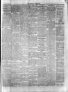 Herald Cymraeg Tuesday 29 January 1895 Page 5