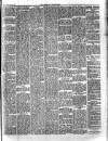 Herald Cymraeg Tuesday 12 March 1895 Page 5