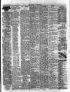 Herald Cymraeg Tuesday 09 April 1895 Page 3
