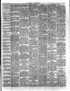 Herald Cymraeg Tuesday 28 May 1895 Page 5