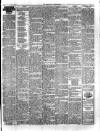 Herald Cymraeg Tuesday 02 July 1895 Page 2