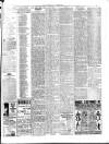 Herald Cymraeg Tuesday 04 February 1896 Page 3