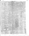 Herald Cymraeg Tuesday 23 June 1896 Page 5