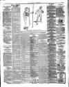 Herald Cymraeg Tuesday 28 February 1899 Page 3