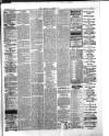 Herald Cymraeg Tuesday 02 January 1900 Page 7