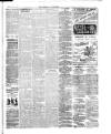 Herald Cymraeg Tuesday 12 June 1900 Page 3