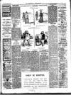 Herald Cymraeg Tuesday 25 February 1902 Page 7
