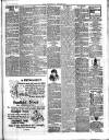 Herald Cymraeg Tuesday 17 June 1902 Page 3