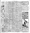 Herald Cymraeg Tuesday 19 February 1907 Page 7