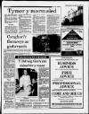 Herald Cymraeg Saturday 18 January 1986 Page 3