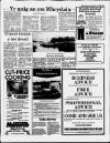 Herald Cymraeg Saturday 22 February 1986 Page 17