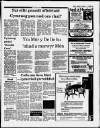 Herald Cymraeg Saturday 01 March 1986 Page 13