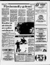 Herald Cymraeg Saturday 01 March 1986 Page 15