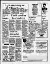 Herald Cymraeg Saturday 22 March 1986 Page 17