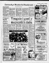 Herald Cymraeg Saturday 22 March 1986 Page 29