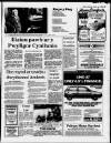 Herald Cymraeg Saturday 05 April 1986 Page 35