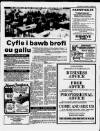 Herald Cymraeg Saturday 14 June 1986 Page 17