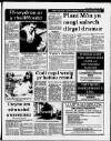 Herald Cymraeg Saturday 16 August 1986 Page 3
