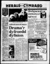 Herald Cymraeg Saturday 03 January 1987 Page 1